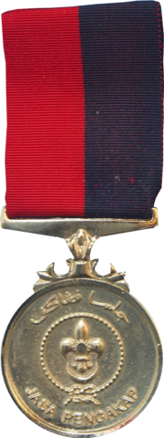 Pingat Jasa Pengakap - Pin